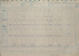 Registro Individual de Sueldos y Jornales