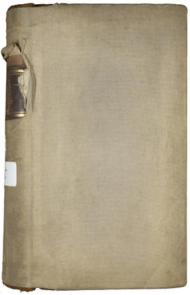 Mayor