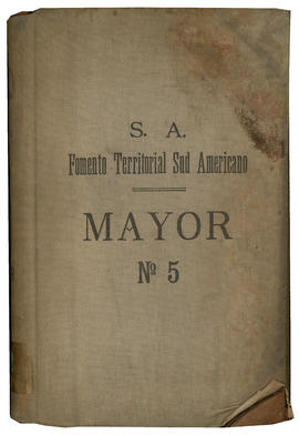Mayor