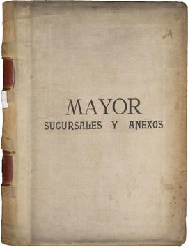 Libro Mayor Sucursales y Anexos