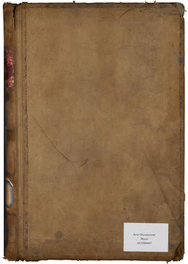 Mayor