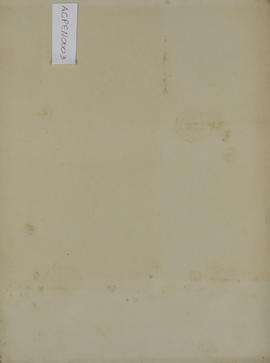 Bunge & Born Lda. Plano N° 3
