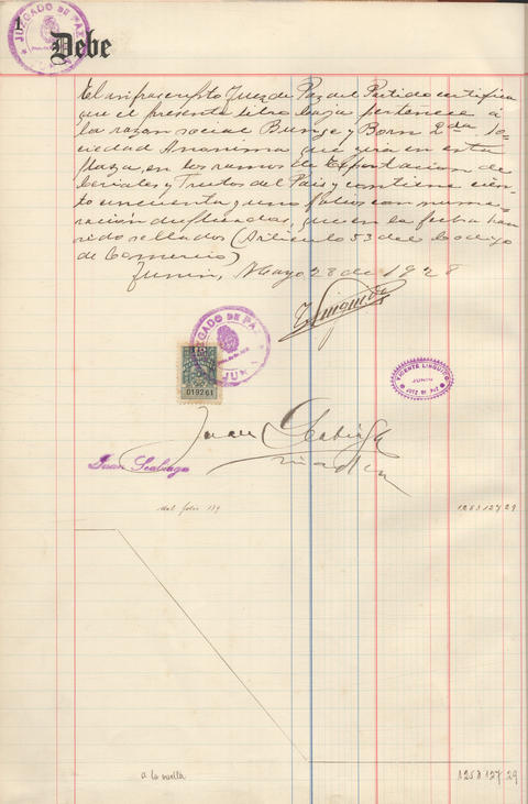 Original Document numérique not accessible