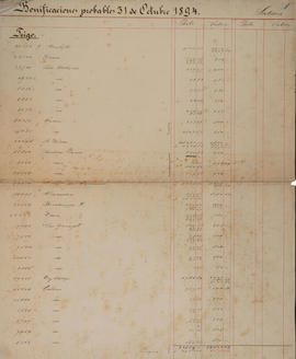 Bonificaciones probables 31 de Octubre 1894